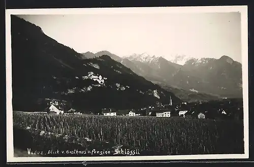 AK Vaduz, Blick v. Gasthaus u. Pension Schlössli