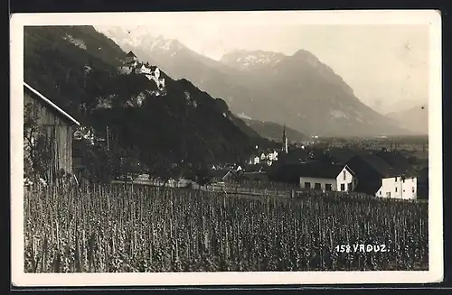 AK Vaduz, Teilansicht von einem Feld aus