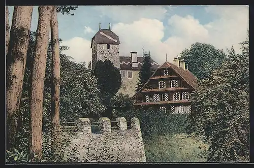 AK Buonas am Zugersee, altes Schloss