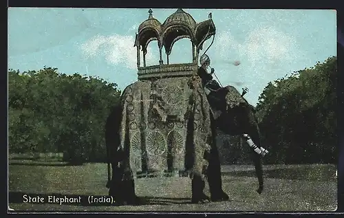 AK Indien, State Elephant, Staats-Elefant