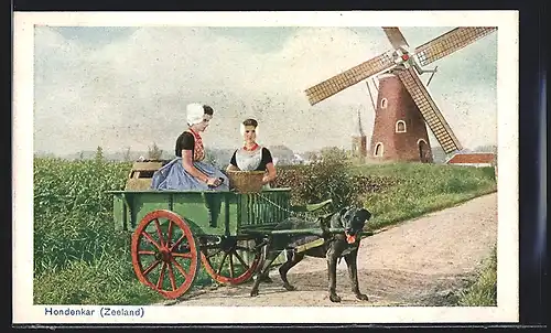 AK Zeeland, Hundegespann vor Windmühle