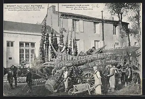 AK Poitiers, Bruant, Horticulteur