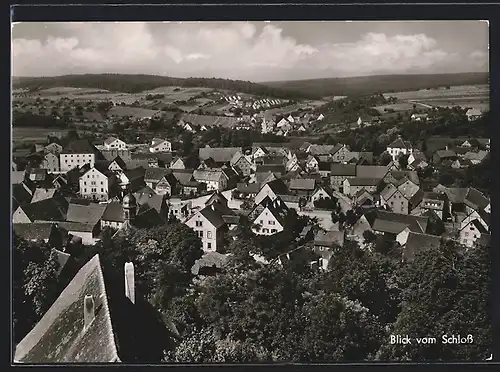 AK Reichenberg bei Würzburg, Ortsansicht vom Schloss aus