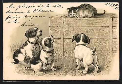 Lithographie Drei Hundewelpen beäugen eine Katze