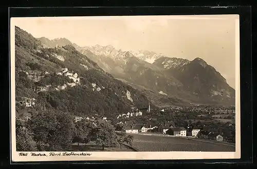 AK Vaduz, Ortspanorama mit Schlossblick
