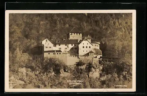 AK Vaduz, Schloss in den Bergen