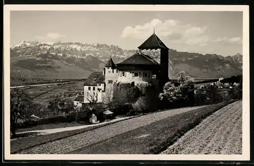 AK Vaduz, Schloss mit anliegenden Feldern