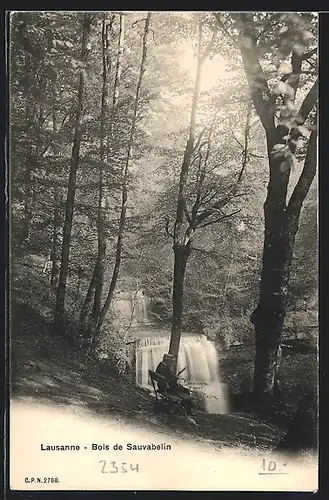 AK Lausanne, Bois de Sauvabelin