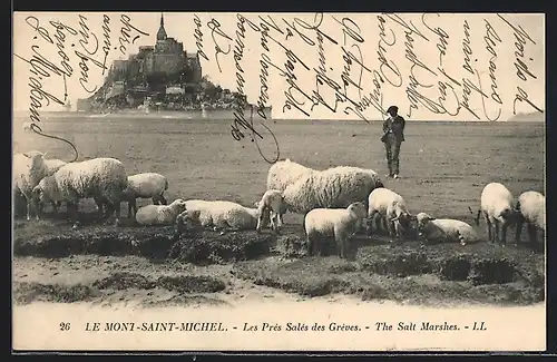 AK Le Mont-St-Michel, The Salt Marshes