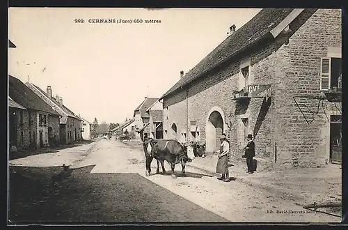 AK Cernans, Strassenpartie mit Anwohnern und Kühen