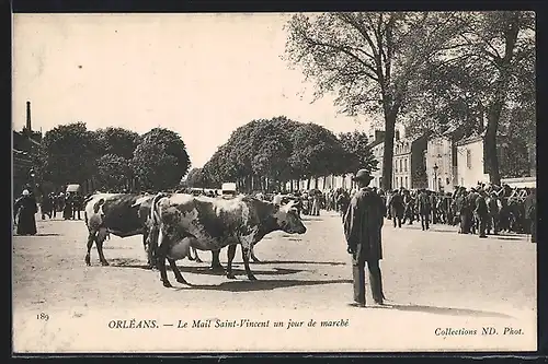 AK Orléans, Le Mail Saint-Vincent un jour de marché