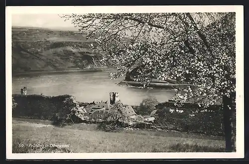 AK Oberwesel / Rhein, Frühlingsidylle