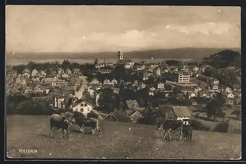 AK Heiden, Ortsansicht vom Feld aus