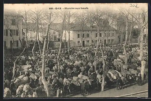 AK Dax, Marché aux boeufs