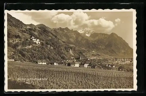 AK Vaduz, Panorama