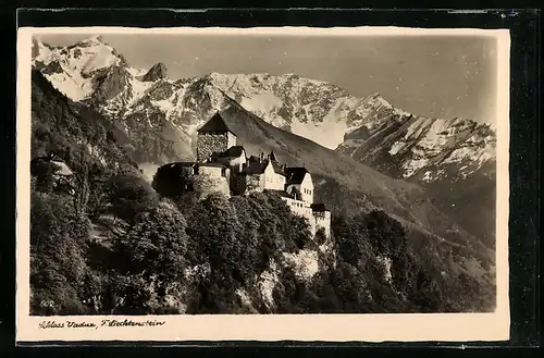 AK Vaduz, Schloss mit Gebirgswand