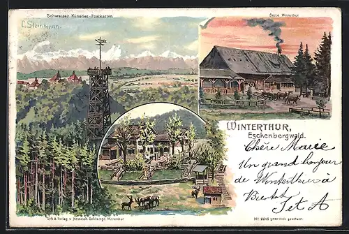 Künstler-AK C. Steinmann, Nr. 2216: Winterthur, Gasthaus zum Eschenbergwald