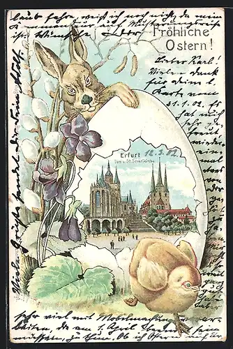 Lithographie Erfurt, Dom und St. Severikirche, Osterhase und Osterküken, Ostergruss