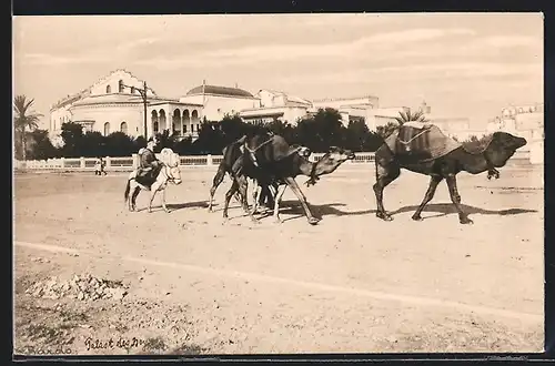 AK Tunis, Bardo, Palais Beylical