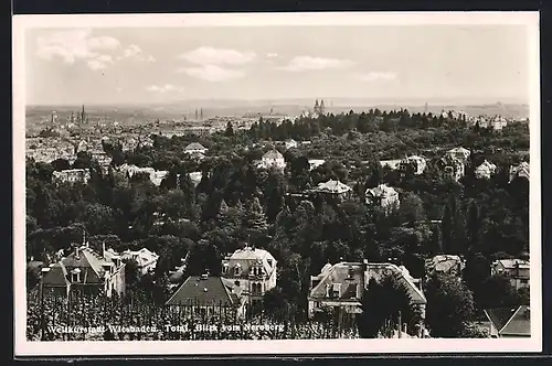 AK Wiesbaden, Totalansicht vom Neroberg