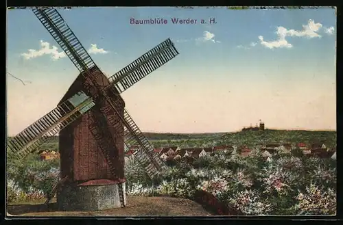 AK Werder a. H., Panorama mit Windmühle während der Baumblüte