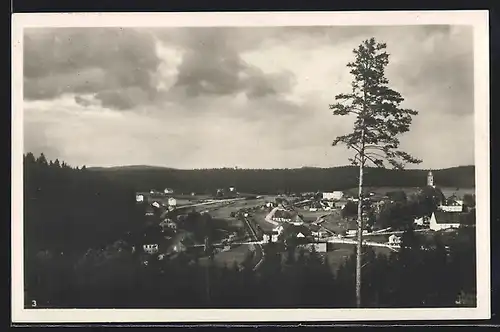 AK Rautenkranz i. Erzgeb., Blick ins Muldental