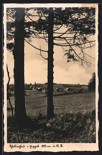 AK Schellerhau i. Erzgeb., Ortsansicht durch die Bäume