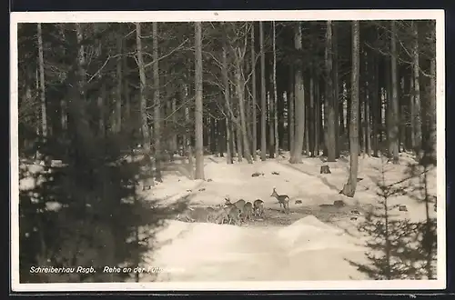 AK Schreiberhau, Rehe an der Futterstelle im Winter