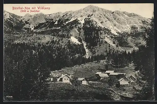 AK Bärnthal-Alpe, Ort mit Wildkamp