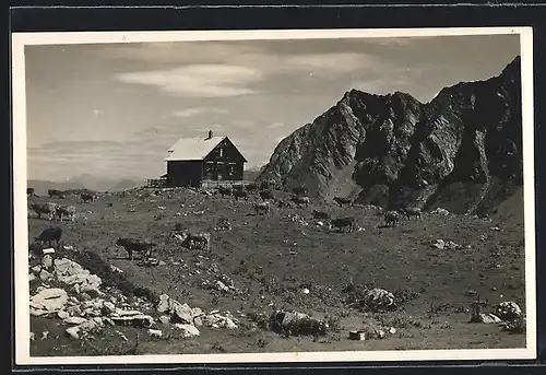 AK Oberzalim-Hütte, Berghütte der Sektion Mannheim D. & Oe. A.-V.