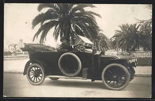 Foto-AK Auto Charron (1910 /11), Stolzer Fahrer am Steuer seines Wagens