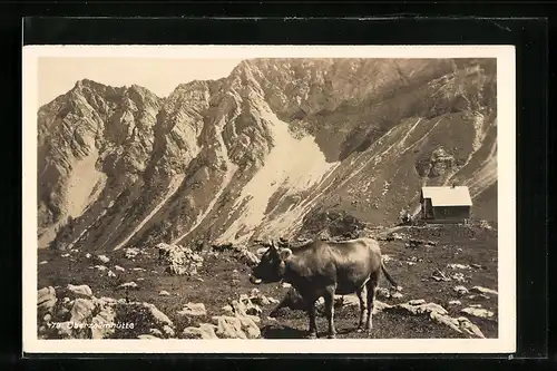 AK Oberzalim-Hütte, Berghütte der Sektion Mannheim D. & Oe. A.-V.