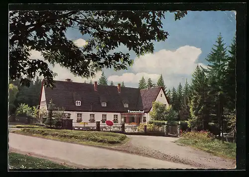 AK Neuenheerse, Hotel Restaurant Tannenhof am Herbram-Wald