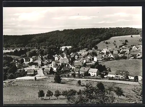 AK Alme /Sauerland, Teilansicht mit Strassenpartie