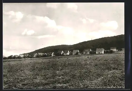 AK Herste, Blick über Weiden auf den Ort