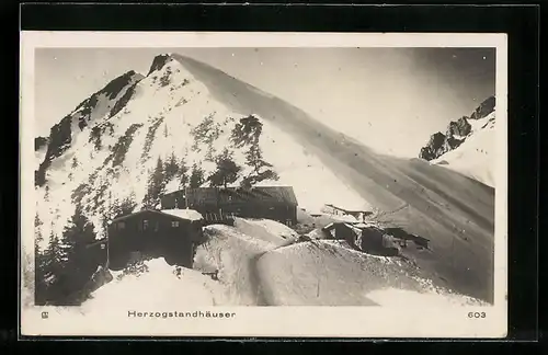 AK Herzogstandhäuser, Ansicht an einer Bergspitze, Tiefschnee