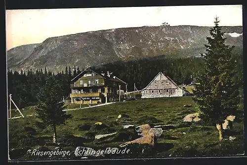 AK Schlingelbaude mit Blick auf die Prinz-Heinrich-Baude auf dem Gebirgskamm