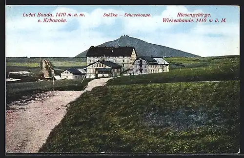 AK Wiesenbaude mit Schneekoppe, Lucni Bouda v. Krkonose