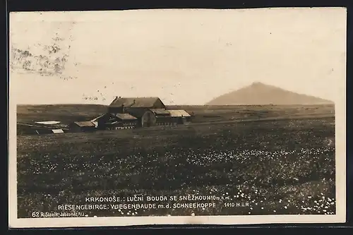 AK Wiesenbaude mit Schneekoppe im Frühling