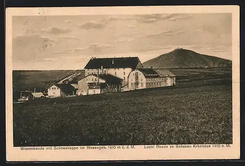 AK Wiesenbaude im Riesengebirge mit Blick zur Schneekoppe