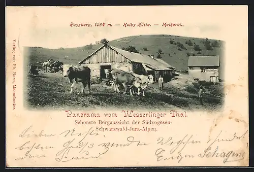 AK Rossberg /Wesserlinger Thal, Kolbs Hütte und Melkerei