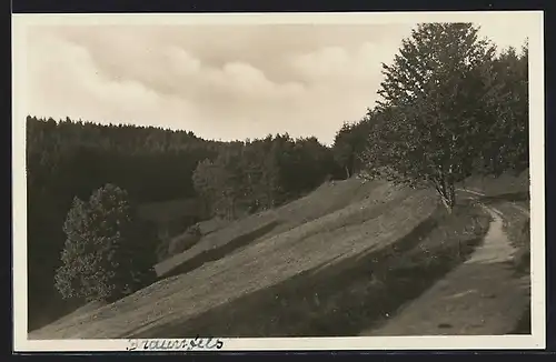 AK Braunfels, Sindelbachtal mit Wanderweg