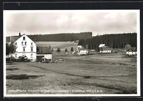 AK Steinbach b. Johanngeorgenstadt i. Erzgebirge, Ortspartie