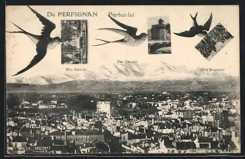 AK Perpignan, Panorama, Mes Amitiés, Mes Pensées