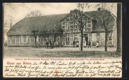 AK Steine / Wendland bei Luckau, Gastwirtschaft von Heinrich Sack, Station der Königlichen Hengste