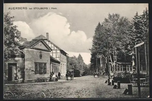 AK Stolberg / Harz, Gasthaus Auerberg