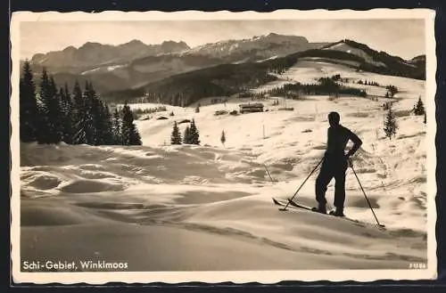 AK Reit im Winkl, Winkelmos, Ski-Gebiet mit Skifahrer