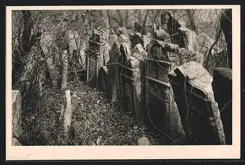 AK Praha, Jüdischer Friedhof