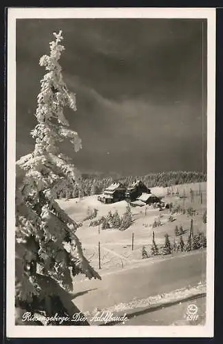 AK Adolfbaude, Baudenpanorama im Winterglanz