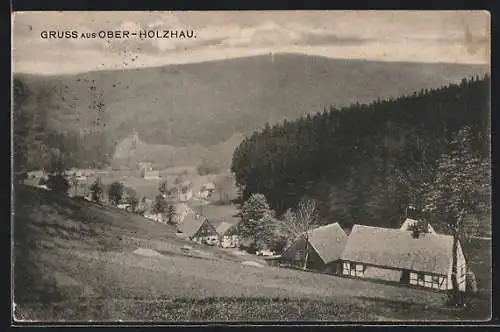 AK Ober-Holzhau, Blick von der Bergwiese